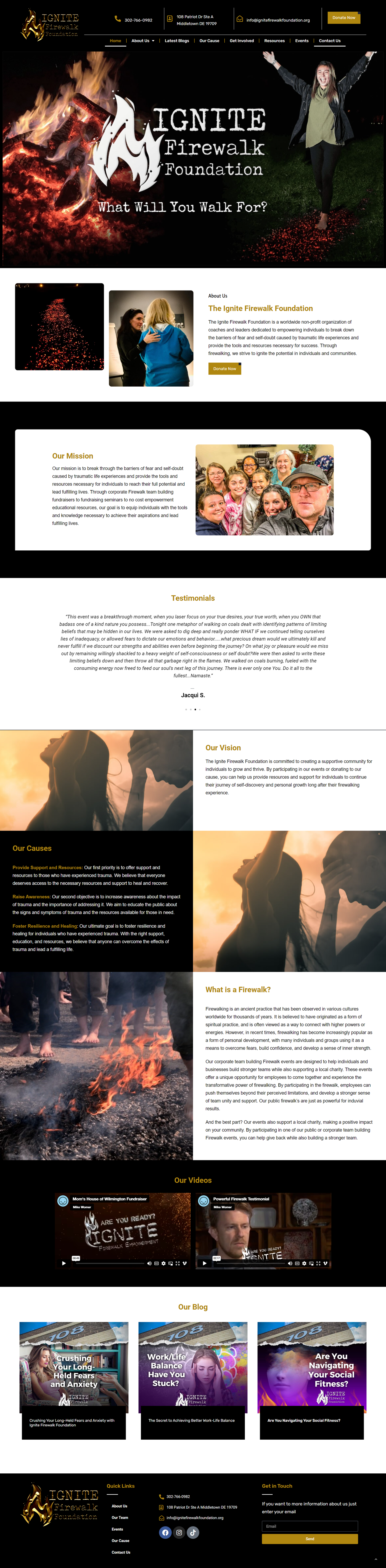 a screenshot of fire website design